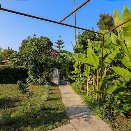 Smjestaj Djurdjevic Apartment Herceg Novi Luaran gambar